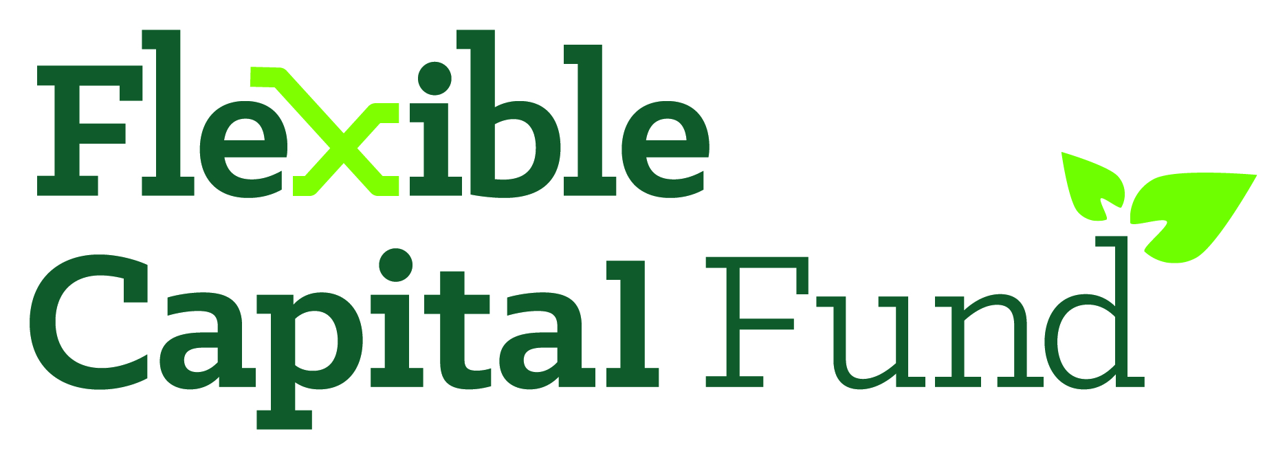 flexible capital fund logo